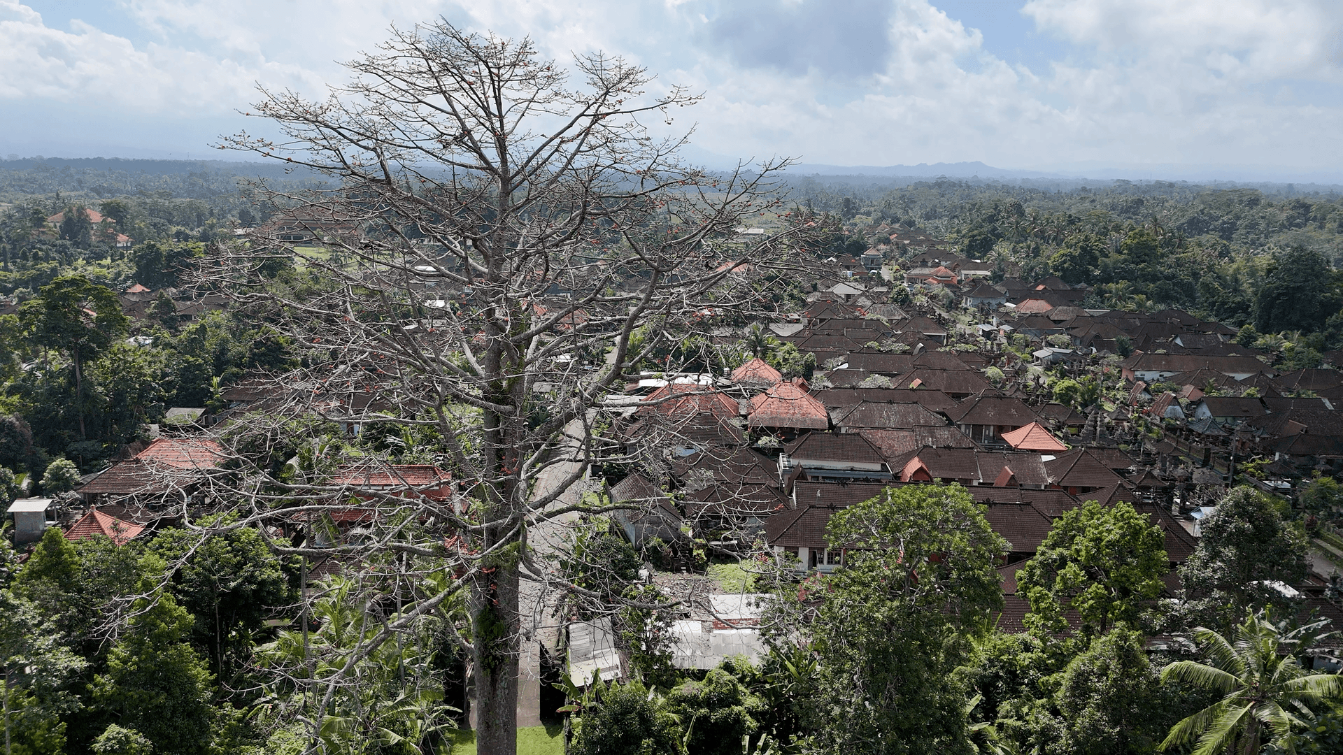 Gambar penulis