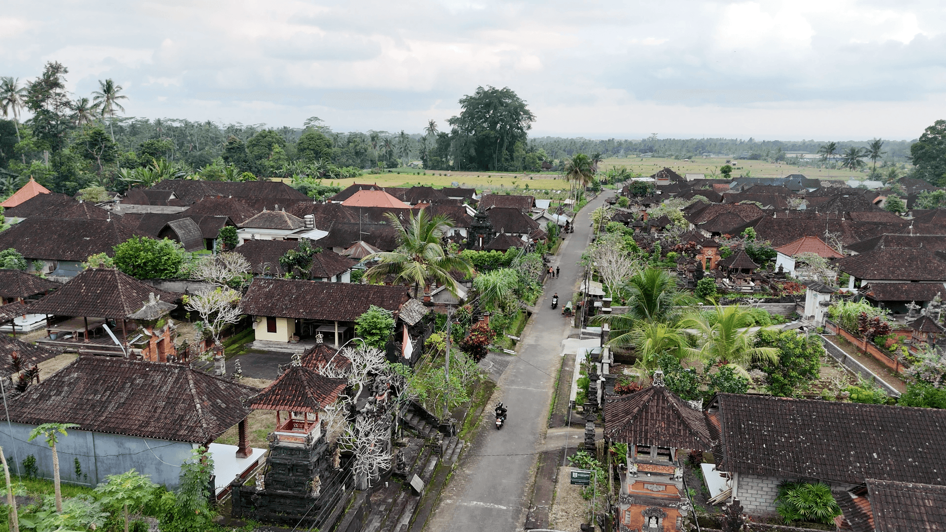 Gambar penulis
