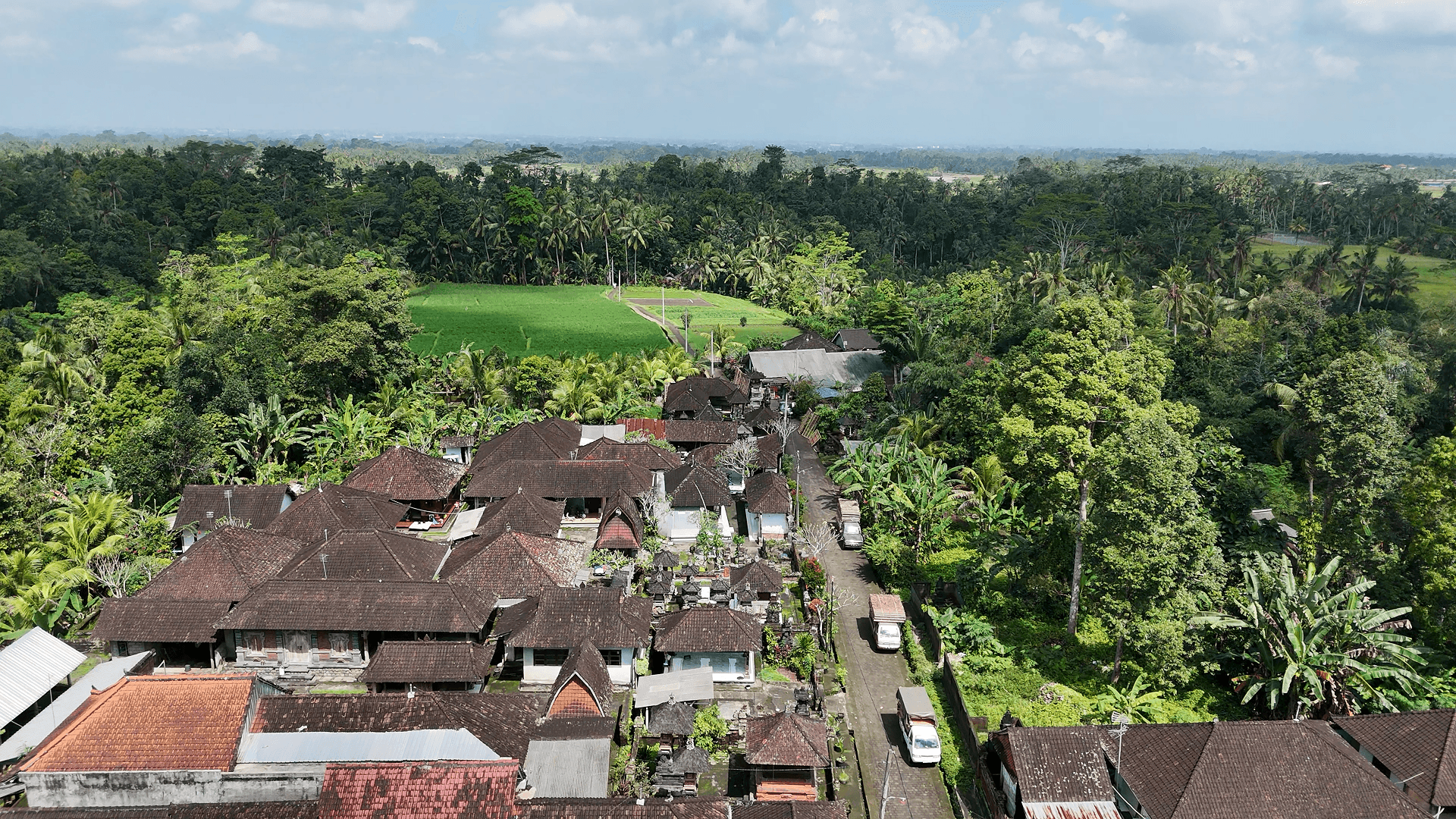 Gambar penulis